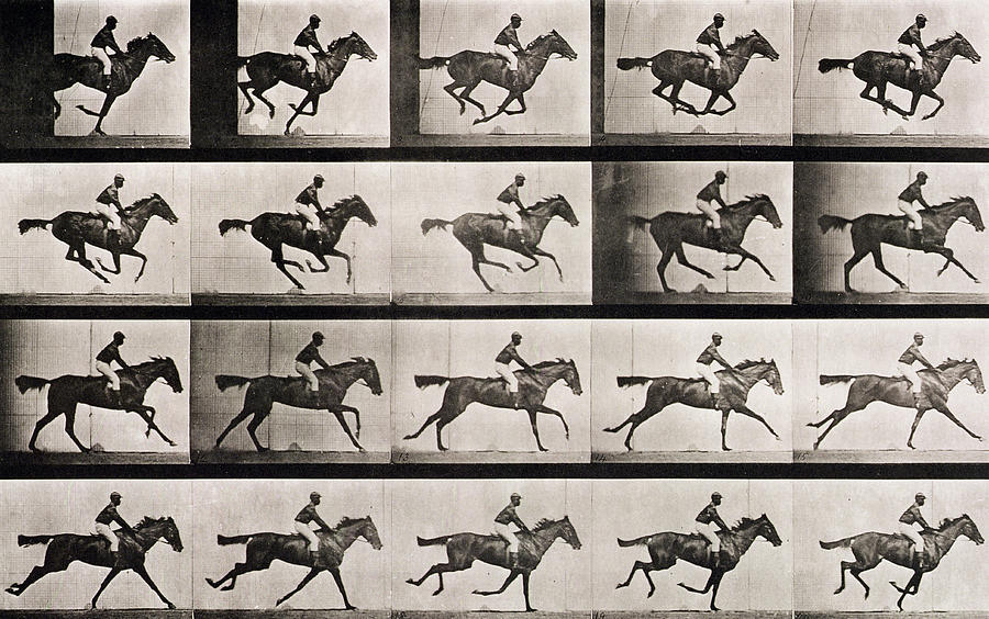 jockey-on-a-galloping-horse-eadweard-muybridge